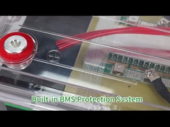 Enerforce OEM Lifepo4 battery pack 12v 24v