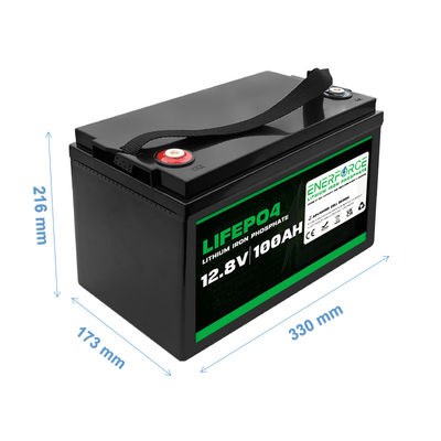 OEM LFP 12V LiFePO4 Battery 100Ah 11.6kg For Solar Energy Storage